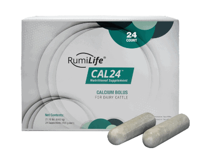 RumiLife® CAL24™