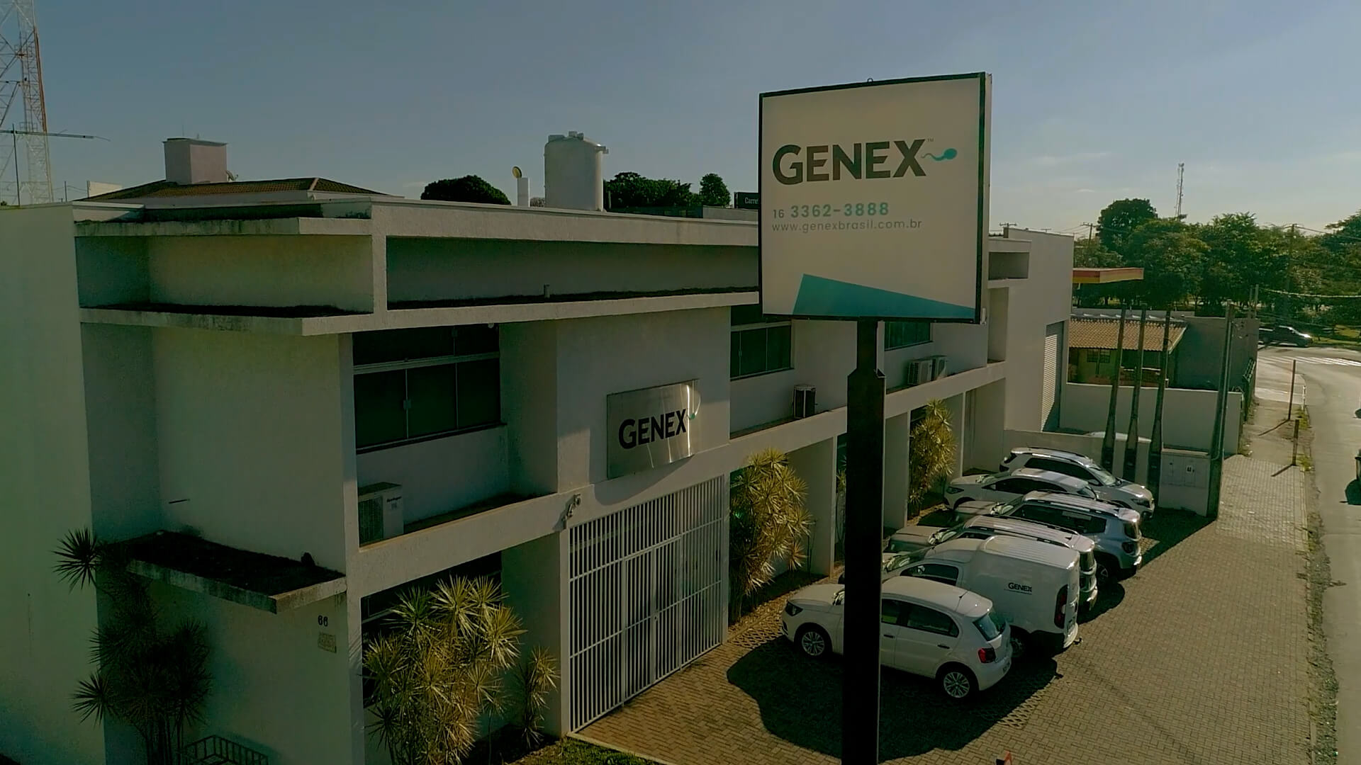 sede-genex