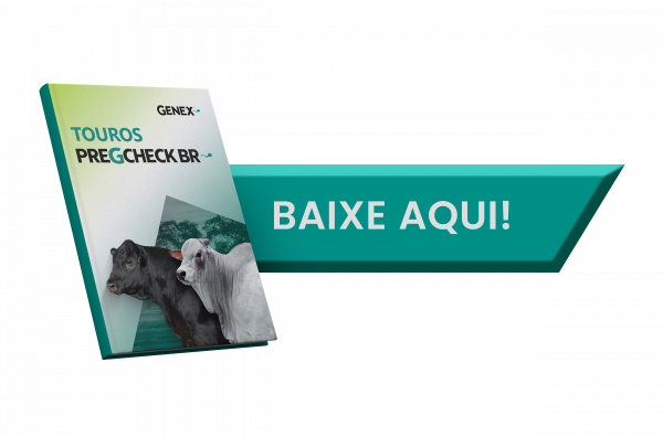 Mockup - Catálogo